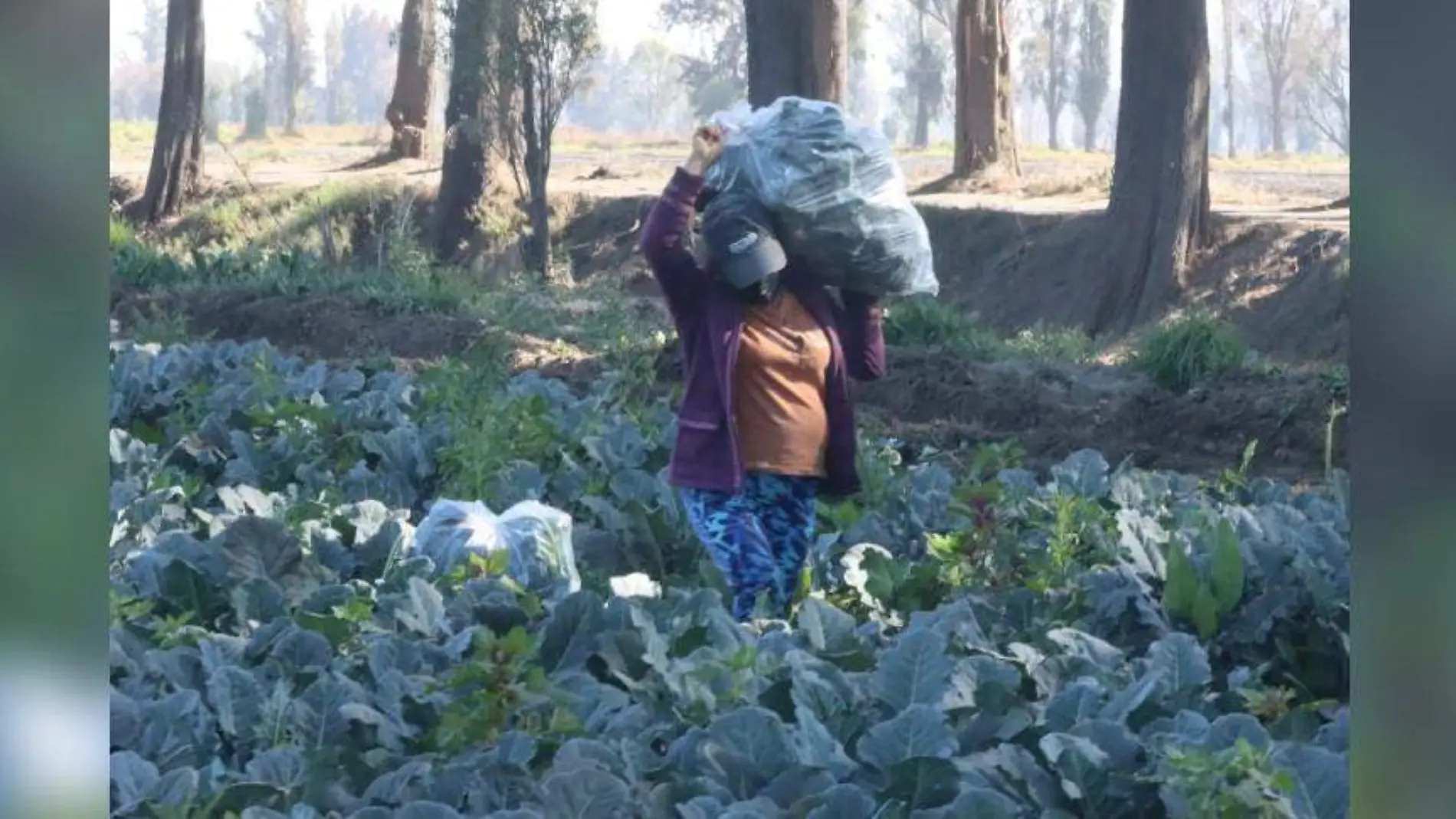 mujeres campo SERGIO VAZQUEZ